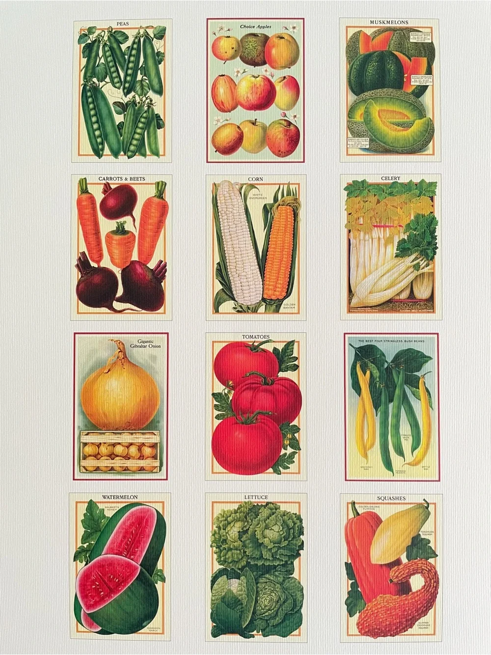 Cavallini 2026 Farmers Market Wall Calendar Vintage Botanical Vegetable Art NEW